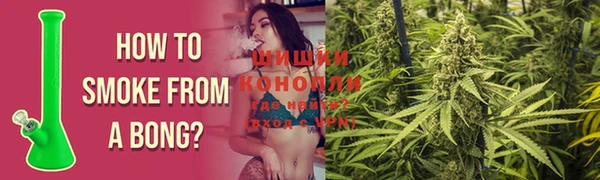 спиды Белокуриха